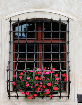 La grille de fenêtre